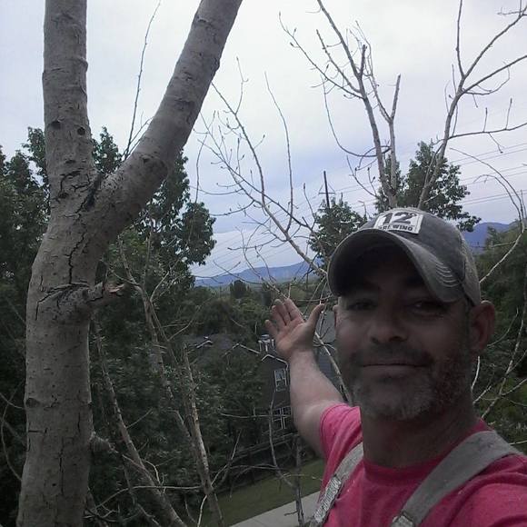 Meet your Posher, Franklin - Picture 1 of 1